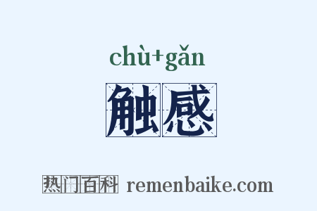 触感是什么意思的图片